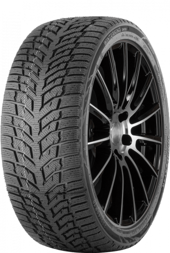 Шины DoubleStar Winterking DW08 165/65 R14 79T нешип