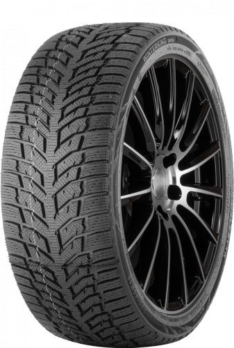 Шины DoubleStar Winterking DW08 205/50 R17 93H нешип