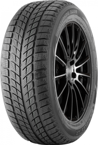 Шины DoubleStar Winterking DW09 255/50 R19 107T нешип