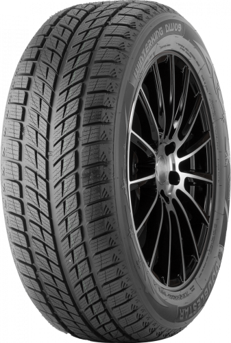 Шины DoubleStar Winterking DW09 315/35 R20 106T нешип